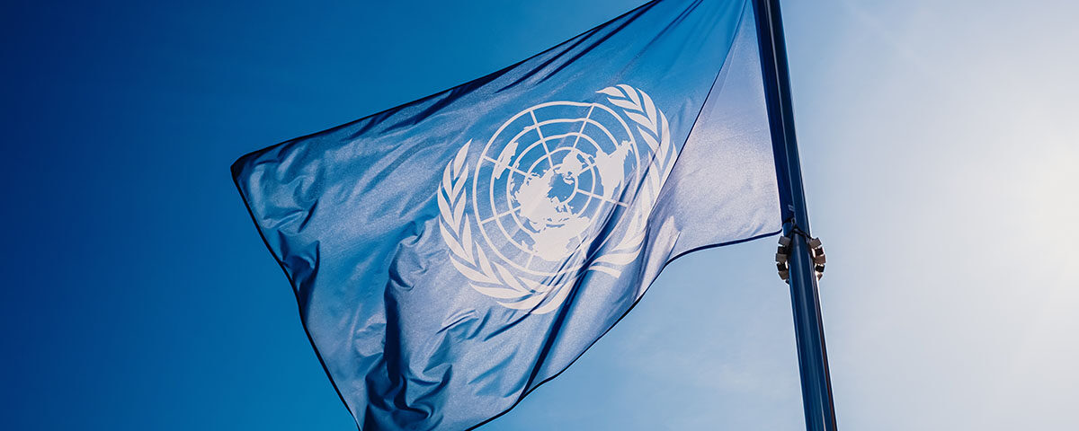 Bandeira da ONU