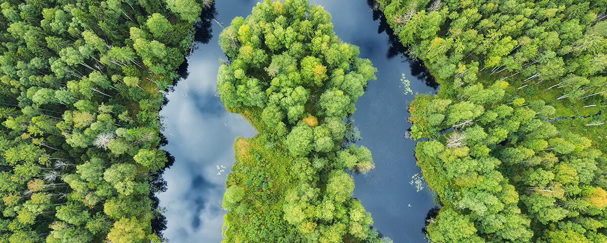 Paisagem natural exuberante com floresta e rio, vista de cima, simbolizando a natureza protegida pela Lei 6.938/81.
